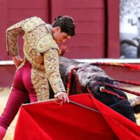 Javier Orozco, junto a Venegas y José Garrido, actuará en la corrida de toros de Igualeja