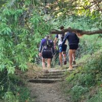 Cuevas del Becerro acoge del 25 al 27 de septiembre las I Jornadas de Turismo Rural