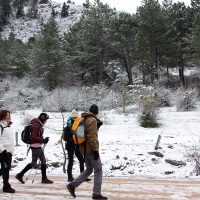 La Mancomunidad de Municipios Sierra de las Nieves fomenta el turismo en el Parque Nacional