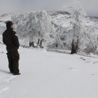 La Mancomunidad de la Sierra de las Nieves convoca el quinto concurso fotográfico sobre el Parque Nacional