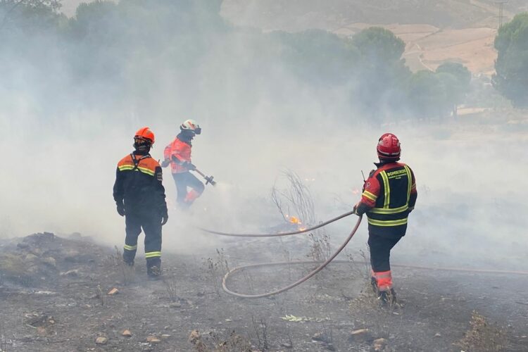 Intentan prender fuego por segunda vez y de madrugada al pinar de La Dehesa