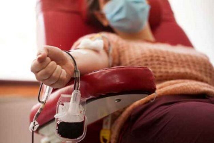 ¿Quieres entrar en los Museos gratis? Pues no lo dudes y dona sangre