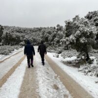 La nieve regresa de forma esporádica al Parque Nacional Sierra de las Nieves