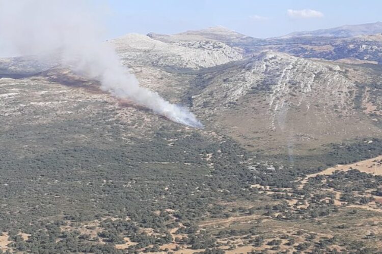 El incendio en el campo de maniobras de Las Navetas continúa perimetrado en terreno militar