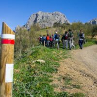 Las visitas interpretativas a la Gran Senda recorrerán incluyen la ruta Benalauría-Benarrabá