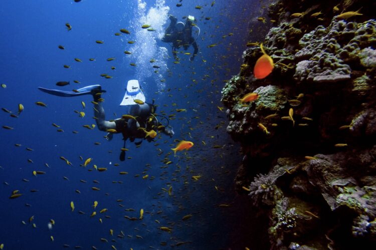 Buceo en España: curvas de belleza y deporte