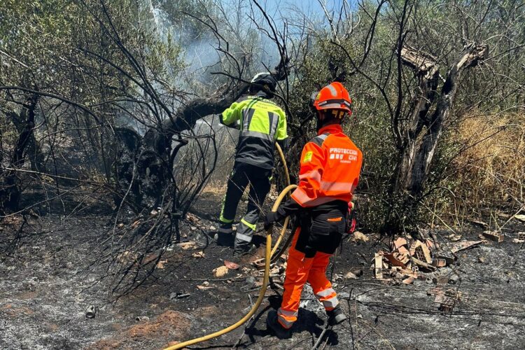 Bomberos y efectivos del Infoca apagan un incendio declarado en un olivar abandonado de La Torrecilla