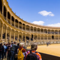 La Junta pide a la Maestranza informes concluyentes sobre el estado real de la plaza de toros