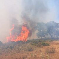 Declarado un incendio forestal en el Cortijo Majaco de Ronda