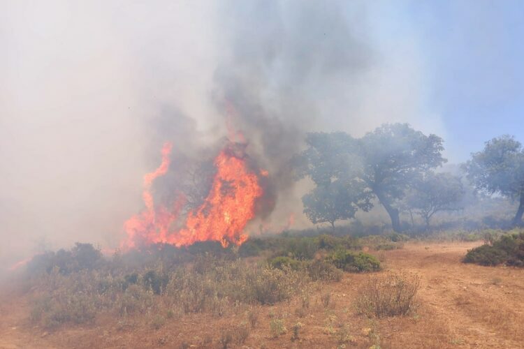 Declarado un incendio forestal en el Cortijo Majaco de Ronda