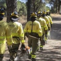 El Infoca da por extinguido el incendio forestal declarado en el Cortijo Majaco de Ronda
