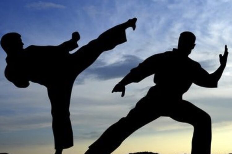 Los Representantes Más Destacados en Artes Marciales en España en 2024 y Cómo Apostar Online