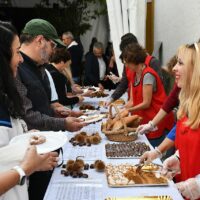 Pujerra se prepara para vivir su tradicional Fiesta de la Castaña