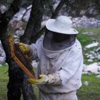 La miel del Valle del Genal, un producto natural de máxima calidad