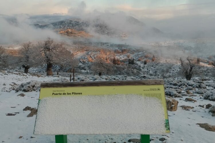 Llegan los primeros copos de nieve a los picos más altos del Parque Nacional Sierra de las Nieves