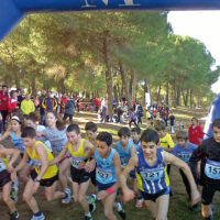 Ronda será la sede este domingo de la primera carrera de Cross del Circuito Provincial de Atletismo