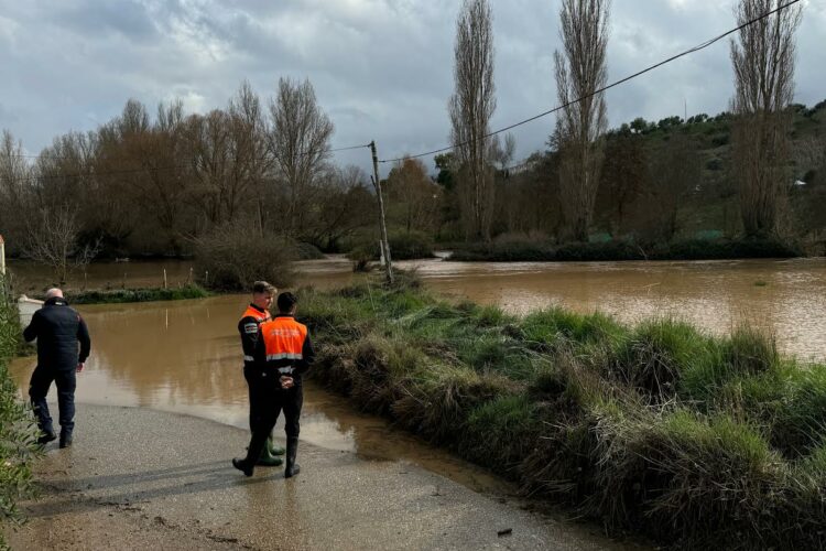 Las lluvias han dejado en la primera quincena de marzo en Ronda 230 litros de agua por metro cuadrado