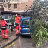 El temporal de lluvia y viento deja este sábado numerosas incidencias en Ronda